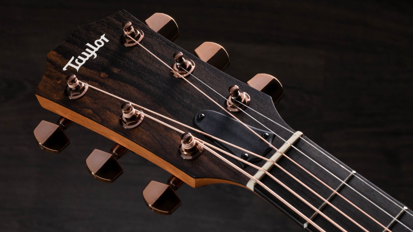 214ce DLX Layered Rosewood Acoustic-Electric Guitar | Taylor Guitars